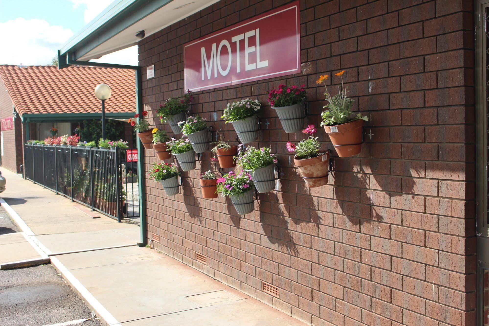 Pavlos Motel Ingle Farm Exteriör bild